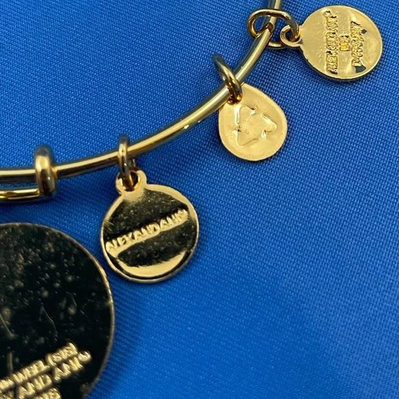 Alex and Ani Harry Potter ‘Dobby is Free’ shiny gold finish bangle bracelet - Picture 6 of 6